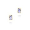 Pendientes con iolita rectangular en baño de oro 18k